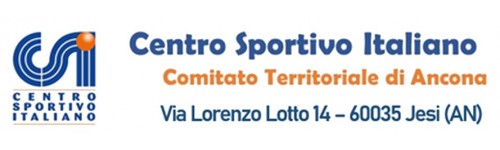 Tesseramenti esterni CSI